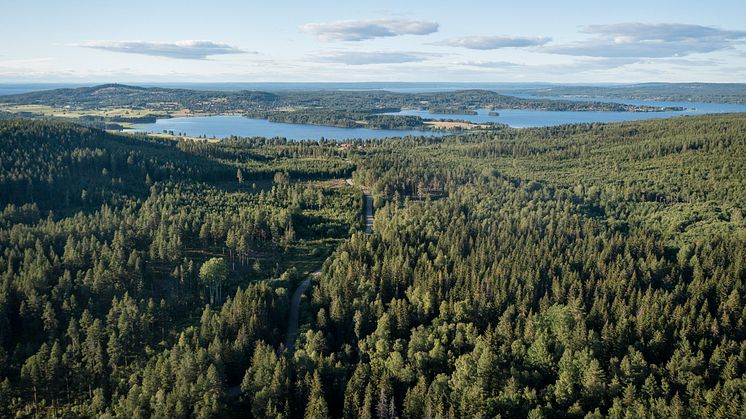 Granberget, Dalarna. Foto: Anna Holm/Visit Dalarna.