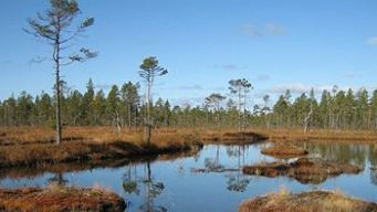 Nya Hamra nationalpark tar in en massa vatten