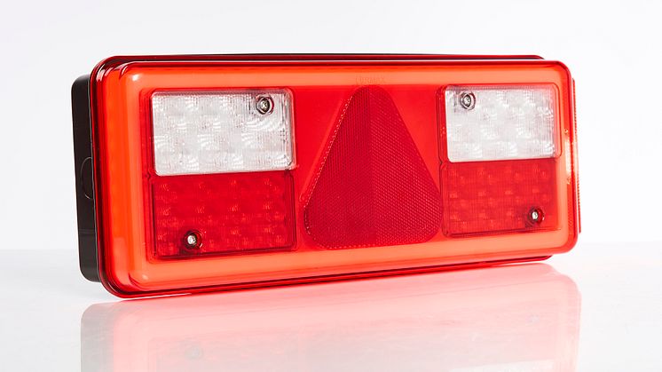 Ermax LED tail lamp