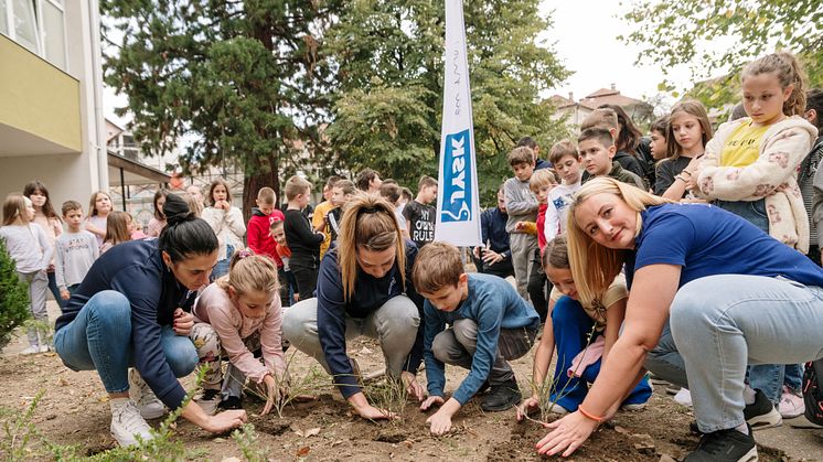 JYSK za moj zeleni grad: U Užicu zasađeno 80 sadnica četinara i ukrasnog šiblja