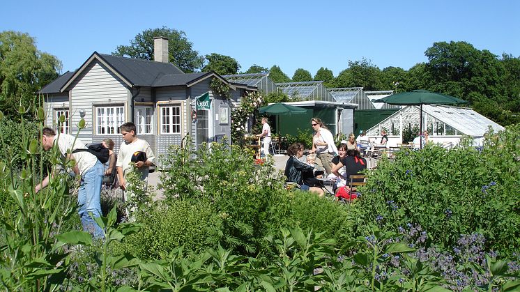 Gemensam trädgård i kvarteret