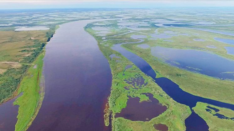 Permafrostområden och flodlandskap i västra Sibirien. Foto: Egor Istigechev