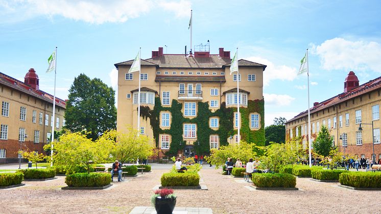 Smaka på Högskolan Kristianstad