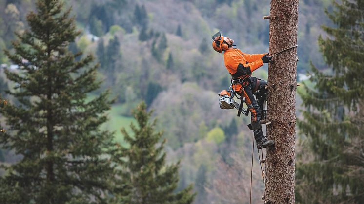 Nya STIHL MS 462, en riktig lättviktare