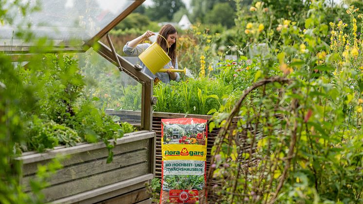 Mit der Bio Hochbeet- und Gewächshauserde von Floragard sind Gewächshausbeete optimal auf die kommende Pflanzperiode vorbereitet.