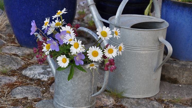 Glad midsommarhelg önskar Mercatus