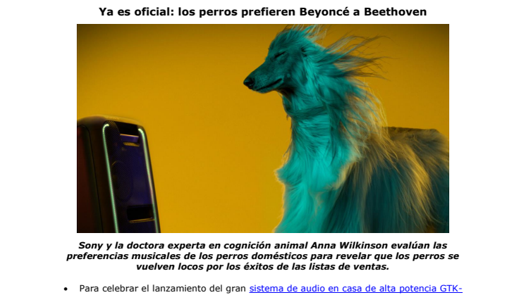 Ya es oficial: los perros prefieren Beyoncé a Beethoven