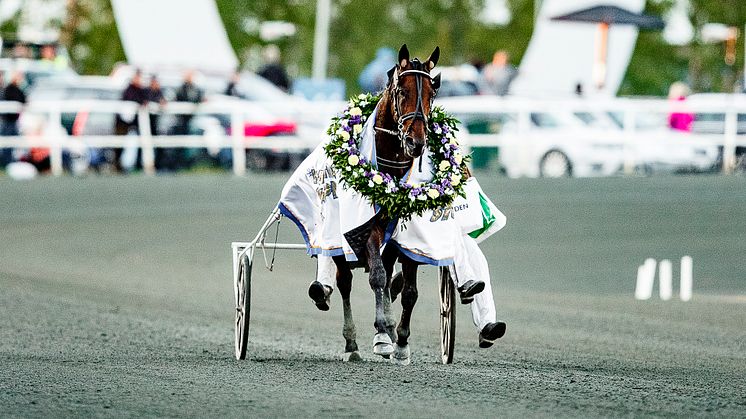 Propulsion segerdefilerar efter förra årets seger i Norrbottens Stora Pris 2018. FOTO: TR Media.