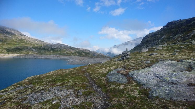 Fra Fagerbotn i Tafjordfjellene