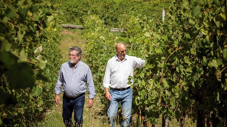 Ny producent! The Wineagency lanserar Valados de Melgaço Alvarinho Reserva 2020 i tillfälligt sortiment