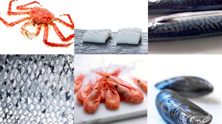 Another record for Norwegian seafood exports in H1 2018