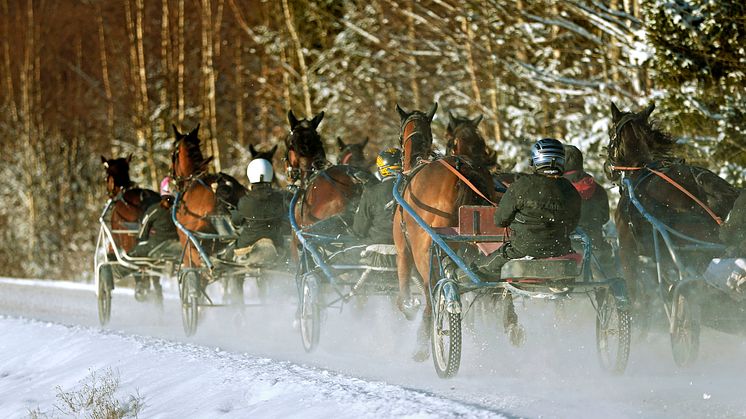 Miljonregnet fortsätter in i det nya året!