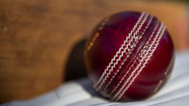 Somerset pitch sanction delayed until next County Championship season