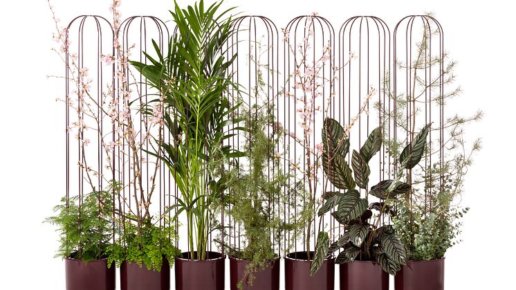 Cacti planteringskärl, design Anki Gneib.