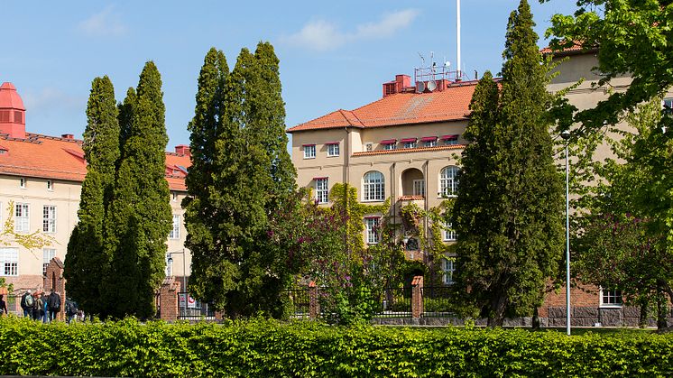 Högskolan ställer om till nätbaserad undervisning