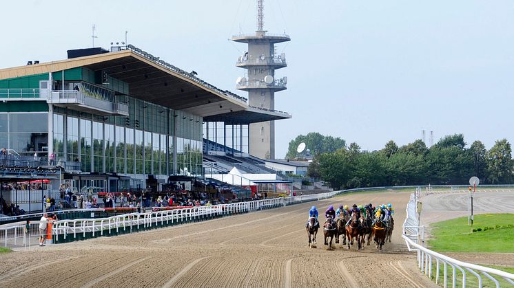 Jägersro Galopp