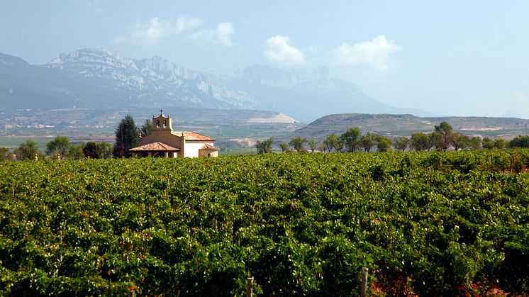"Dinastía Vivanco" vinmarker i Briones, La Rioja
