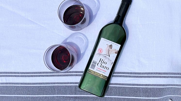 Río Claro Carmenere - Ekologisk rött vin i greppvänlig platt PET-flaska