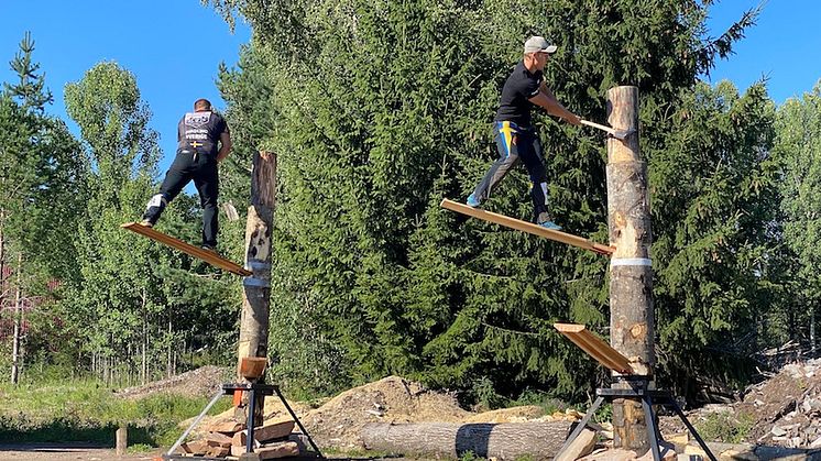 Ferry Svan tog nytt svenskt rekord i Springboard under kvaltävlingen den 15 augusti. Foto: STIHL TIMBERSPORTS®.