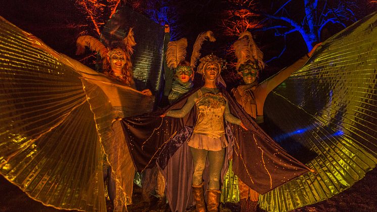 Magische Momente kann man bei der Waldweihnacht in Eberswalde erleben. Foto: TMB-Fotoarchiv/Steffen Lehmann. 