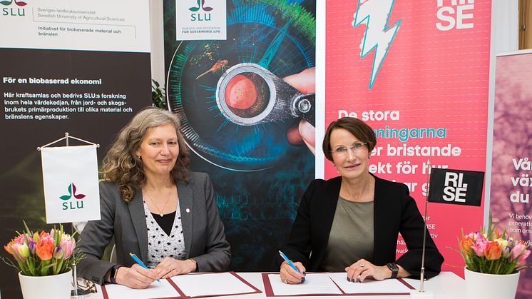 Maria Knutson Wedel, rektor SLU och Pia Sandvik, VD RISE signerar samarbetsavtalet. Foto Jenny Svennås-Gillner.