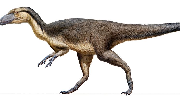 Australian feathered polar dinosaur. Credit: Peter Trusler