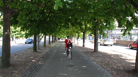 Träffa Tyréns på Transportforum