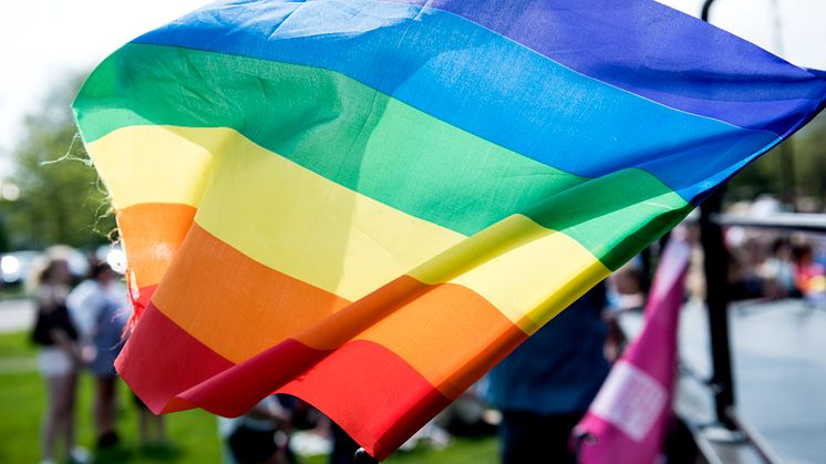 Regnbågsflagga på festivalen Queer up 2017.