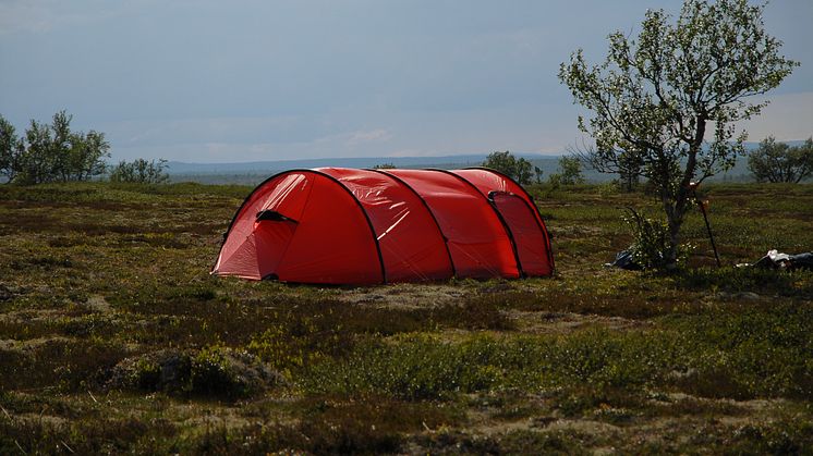 Naturturism i Fulufjällets vackra natur. Foto: Stefan Hamréus 