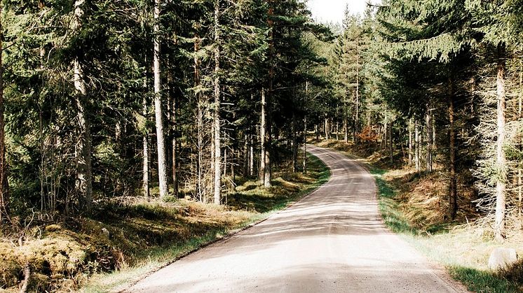 Welandkoncernen storsatsar på Nordbygg i april