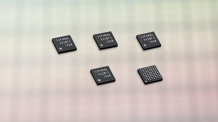 Samsungs chip bereder vägen att betala via mobilen