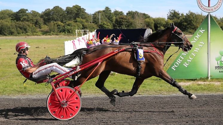 Irländaren Harry Knows klar för Sweden Cup 2024. Foto: TR Bild