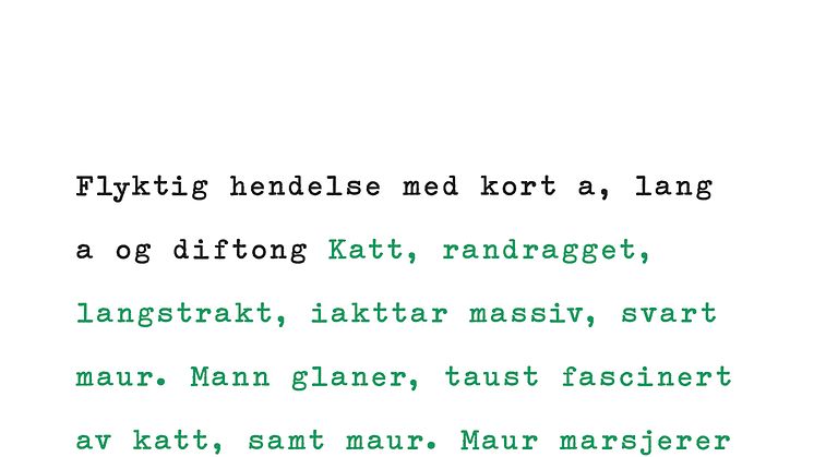 Lydia Davis: Flyktig hendelse med kort a, lang a og diftong