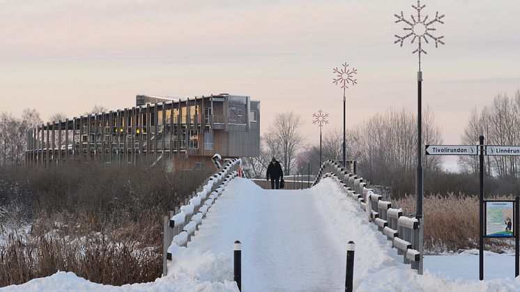 Naturum Visitor Centre in wintertime