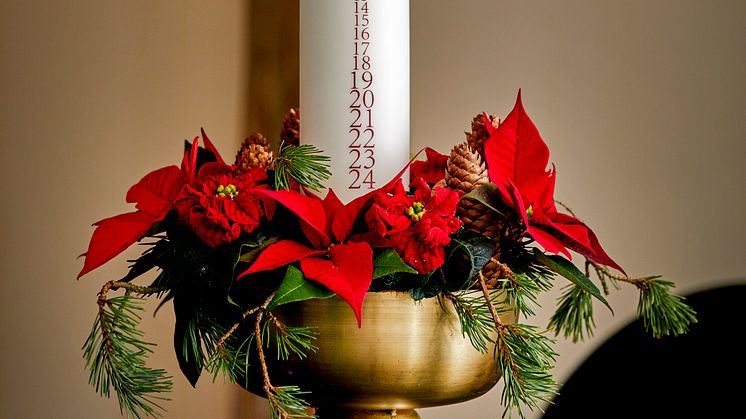 Adventskransar och kalendrar med julstjärnor