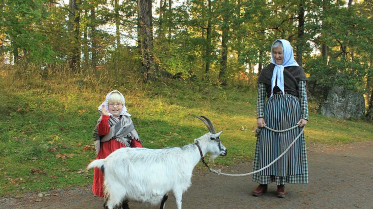 Höstfest, Vallby friluftsmuseum