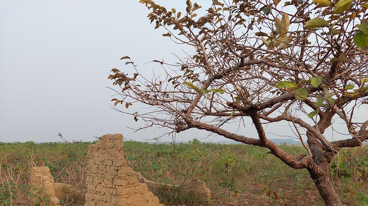 Ruins_of_a_mud_brick_structure