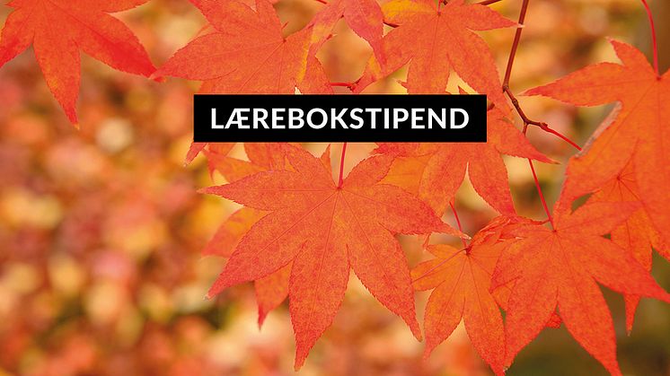 Newsletter_Lærebokstipend-autumn--1080x600.jpg