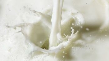 ​Arla Foods amba increases its February milk price