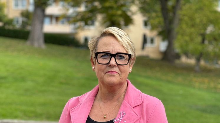 Kristdemokraterna föreslår extern oberoende granskning av Mandometerklinikerna