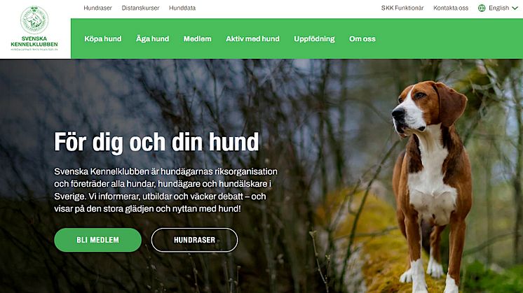 Svenska Kennelklubbens webbsida skk.se får nytt utseende