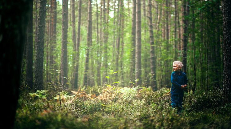 Nå har Skogstad, den tradisjonsrike norske produsenten av friluftsklær, kommet med de første svanemerkede klærne i microfleece. Det er i alt fire produkter: jakke og bukse til barn og jakke i både dame- og herrestørrelse.  Foto: Produsenten