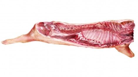 Köttskola med Mitt Kök: griskött