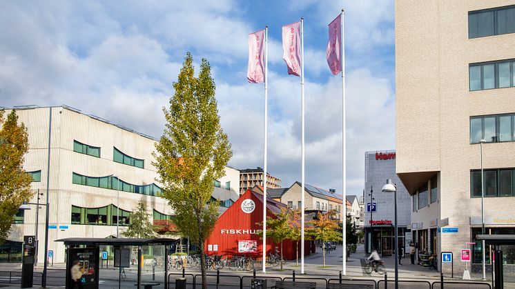 Selma Lagerlöfs Torg