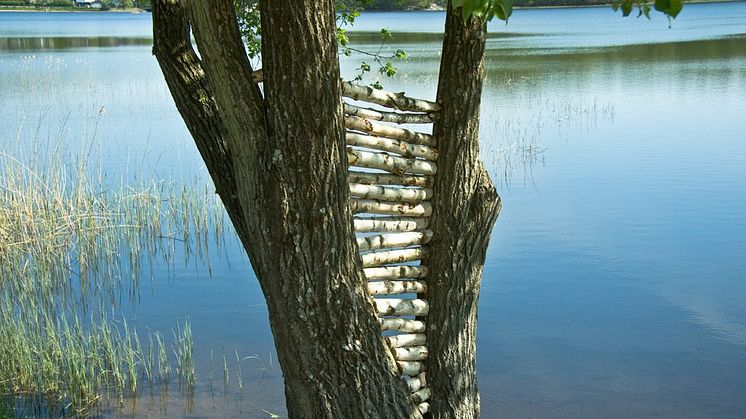 "Land Art" av Alexandra Hedberg