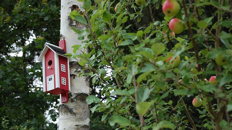 Foto: Länsstyrelsen i Västra Götaland.