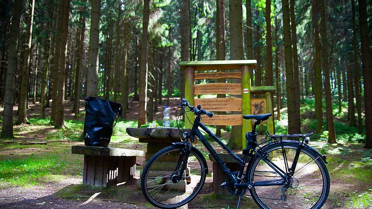 Rast auf dem Mulderadweg