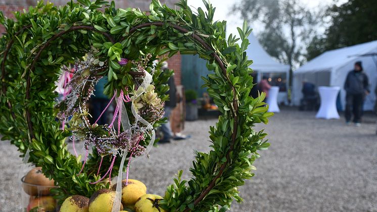 Herbstzeit © Tourismus-Service Fehmarn