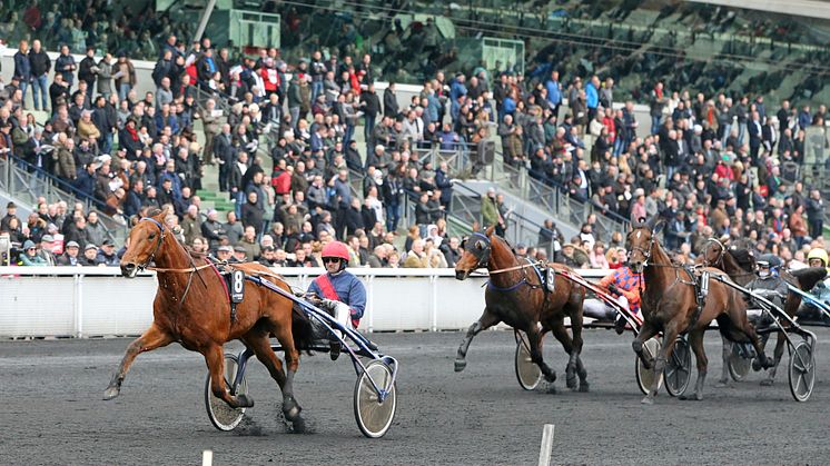 Aubrion du Gers vinner Prix du Luxembourg på Vincennes. Foto: Maria Holmén/TR Bild