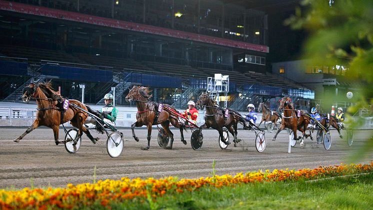 Solvalla, Foto Maria Holmén ATG